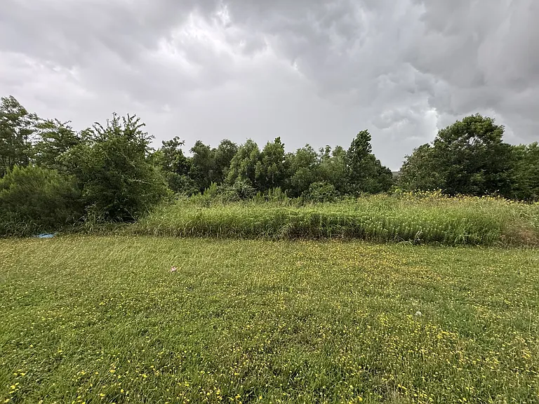 1905 Monte Carlo Ln — Photo 16