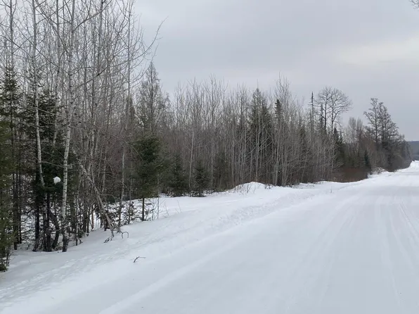 Right Of Way Rd, Butternut, WI 54514