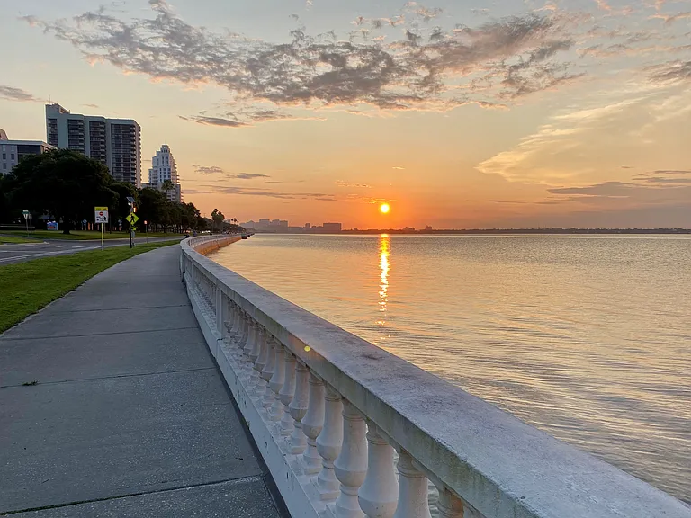 2611 Bayshore Blvd — Photo 39