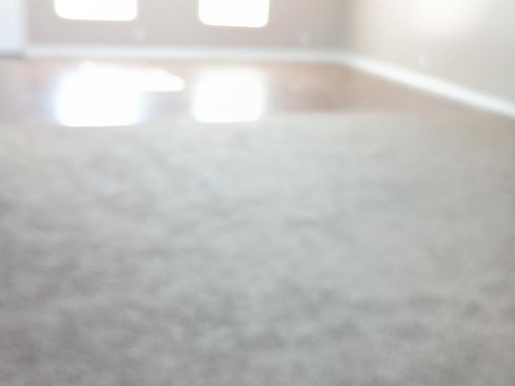 Living room,dining room