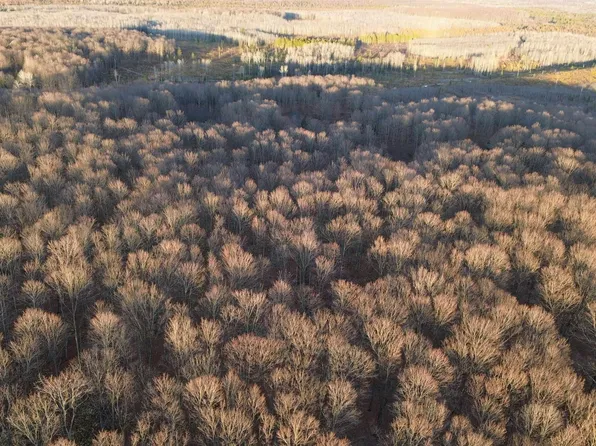 Off Of Cty M26 M5 Rd, Ralph, MI 49877