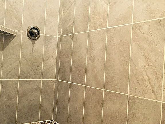 Master Bathroom Entry level shower