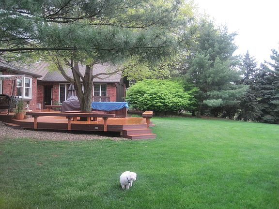 Large level backyard
