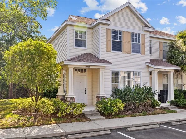 12344 Country White Cir, Tampa, FL 33635