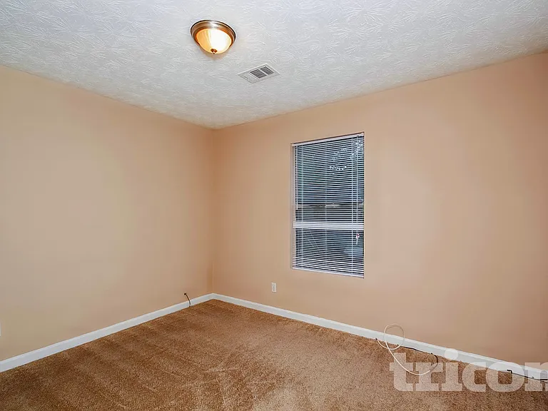 3341 Goldenchain Dr — Photo 17