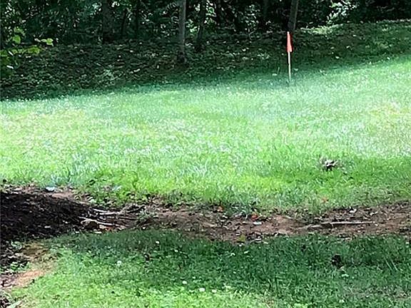 3rd image of 0 River Chase Dr #85