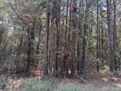 W Hempstead St #352, Nashville, AR, 71852