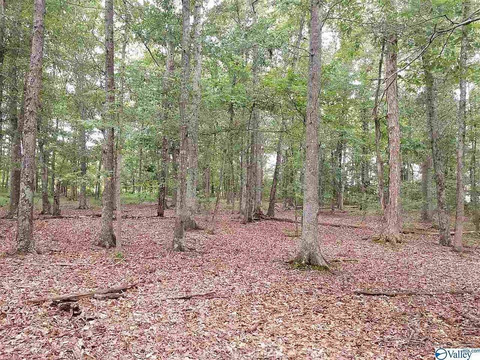 2nd image of 17643 Maree Dr