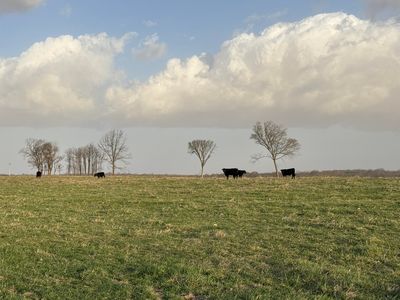 Tract 2 Dade 105, Lockwood, MO, 65682