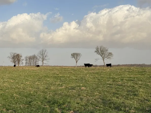 Tract 2 Dade 105, Lockwood, MO 65682