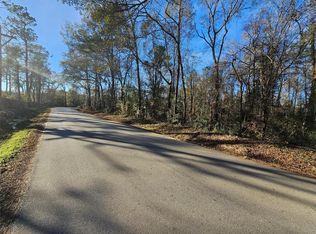 1 Sherwood Dr Lot 1, Shepherd, TX 77371