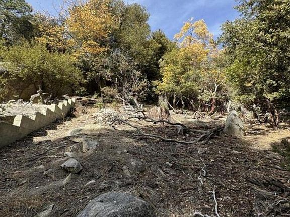 3rd image of 53642 Jeffrey Pine Rd