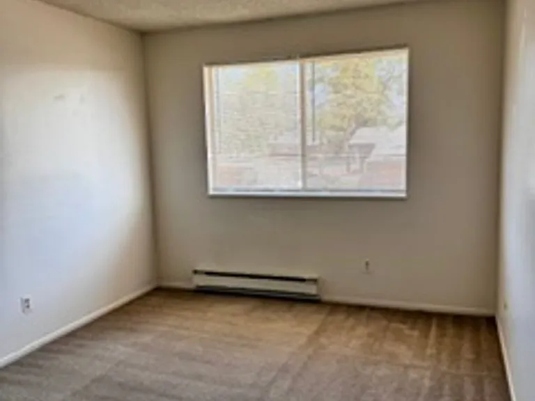 708 Delaware Ave #D — Photo 15