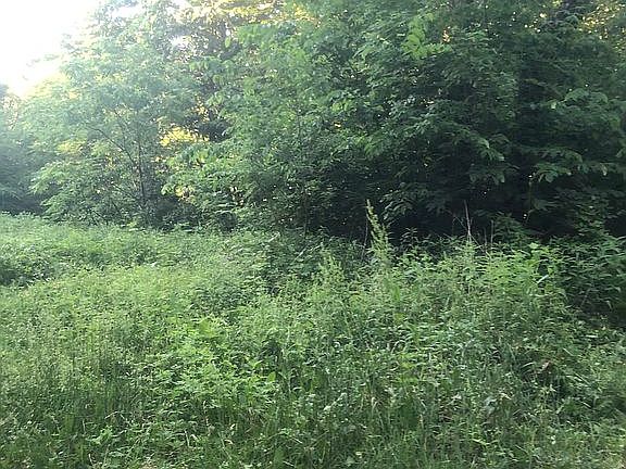 2nd image of Sect 30 Twin 97 Ring #5-097