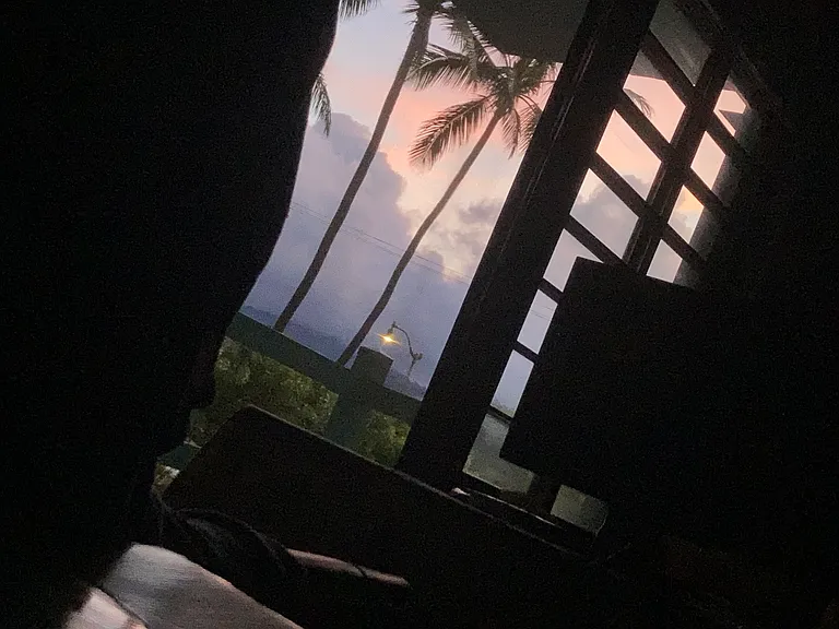 2957 Kalakaua Ave — Photo 10
