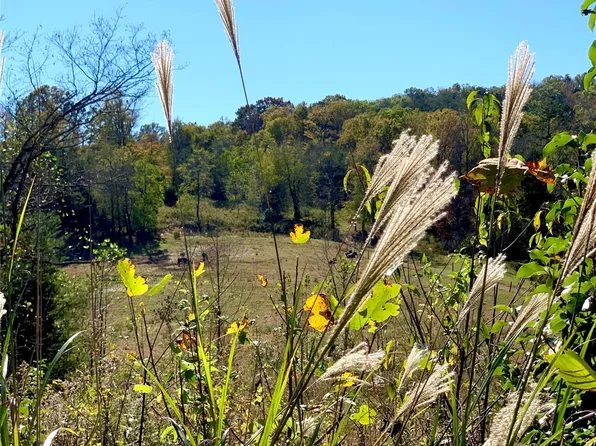 112 Buck Ridge Dr, Marion, NC 28752