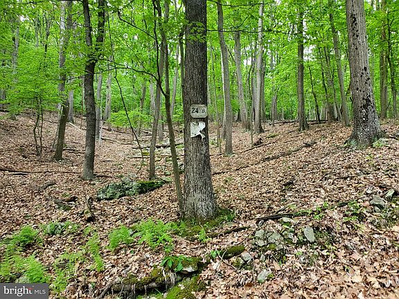 2nd image of LOT-24A & 24b Cove Crk