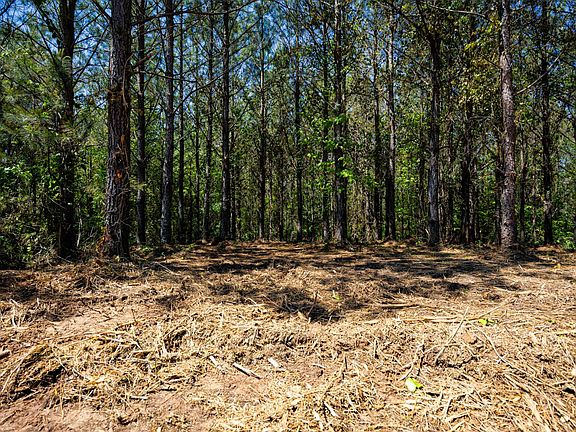 5th image of 0 Burntfields Rd Tract 5