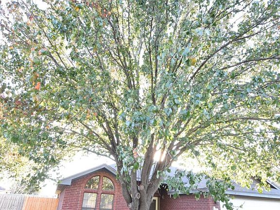 3rd image of 5107 Leaning Oak Cir