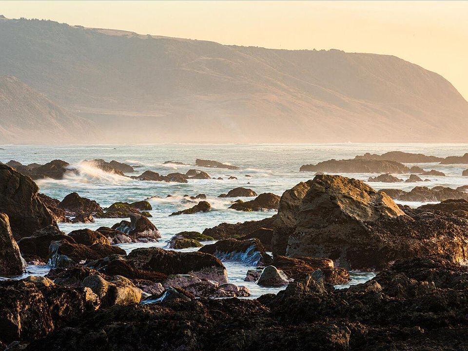 49th image of this home