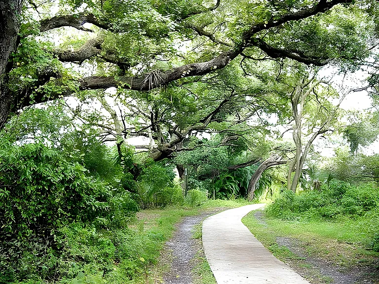walking paths