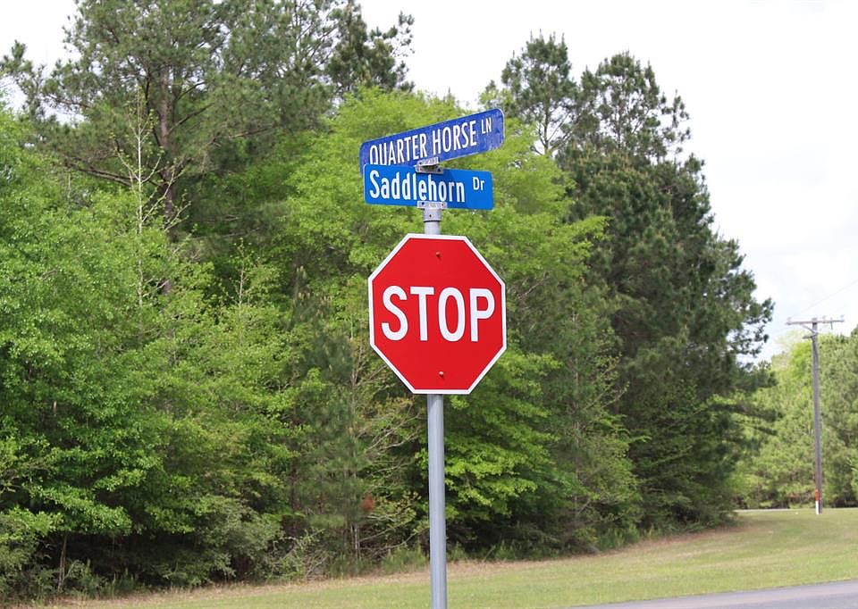 1st image of 17880 Saddle Horn Dr