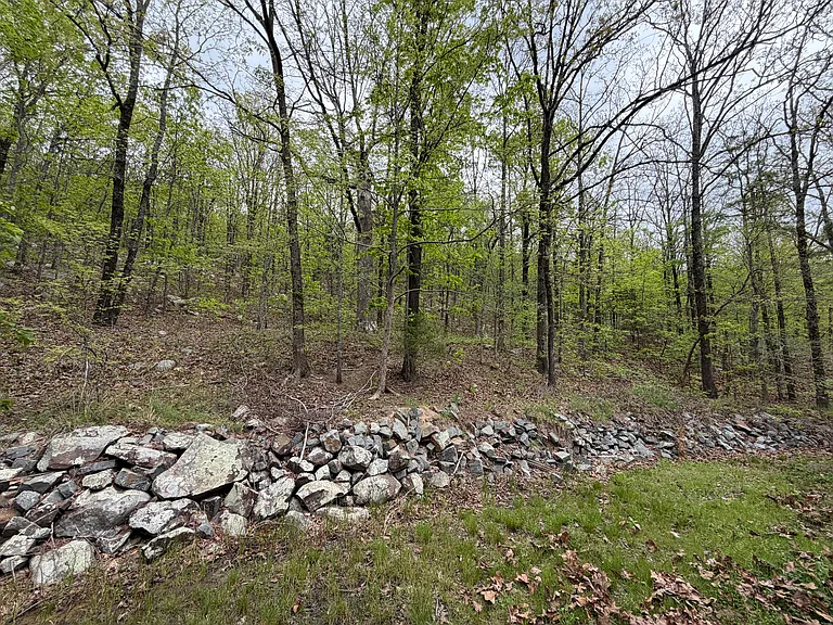 44 Kirkland Dr — Photo 32