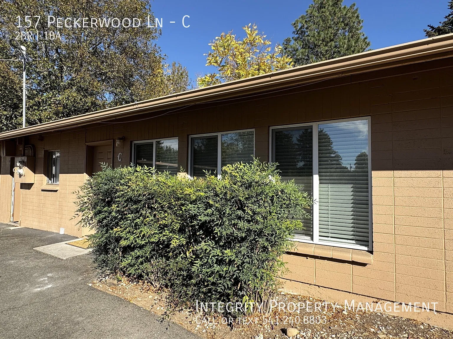 2 bed, 800 sqft, $1,395 — Photo 2