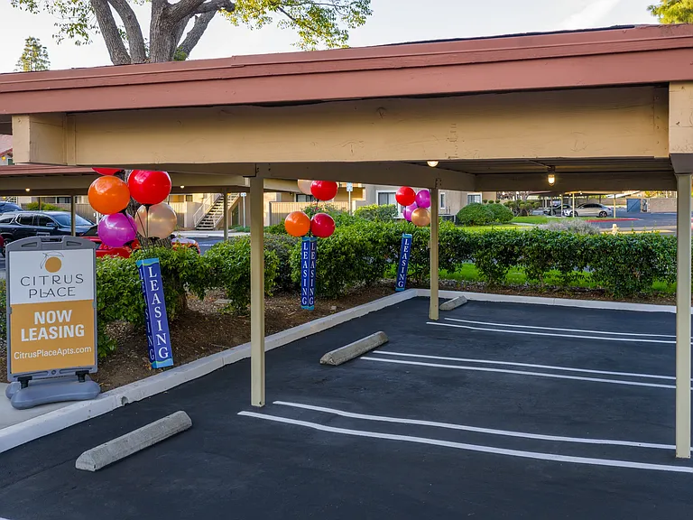 Citrus Place — Photo 64
