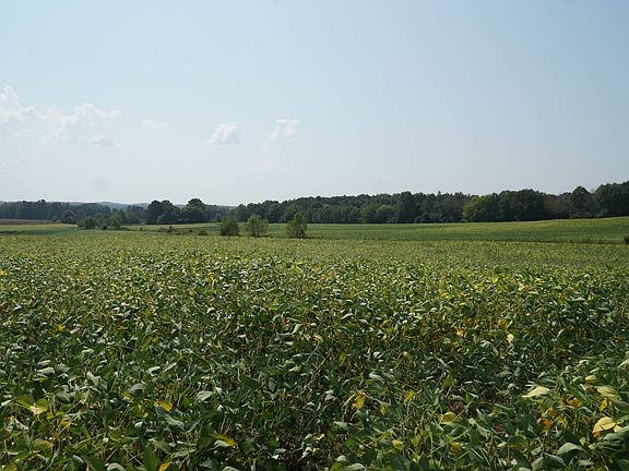 4th image of 18369 State Highway 253