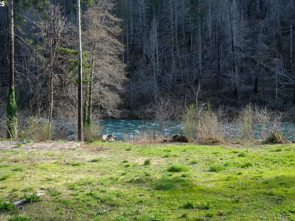 28959 N Umpqua Hwy, Idleyld Park, OR 97447