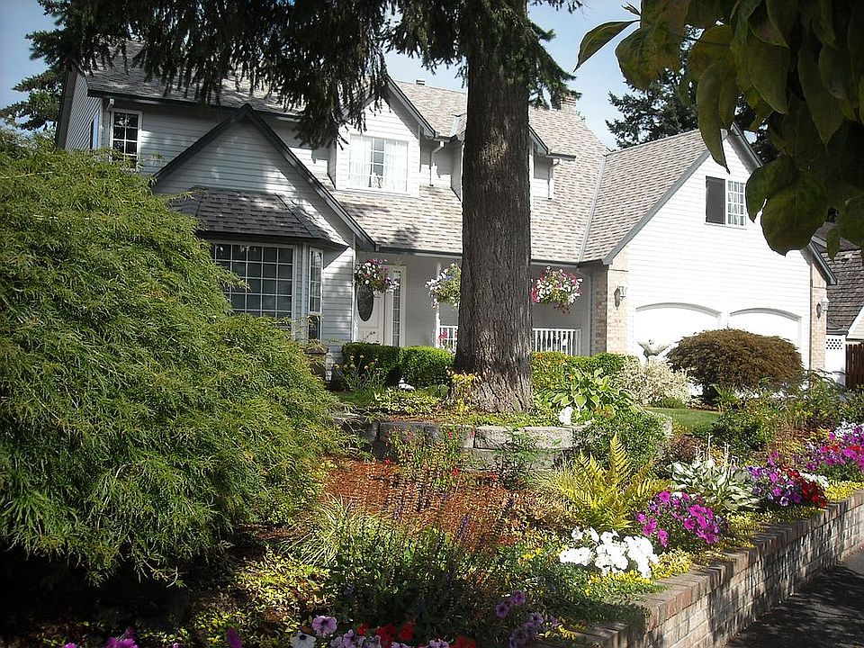 removed the large fir tree