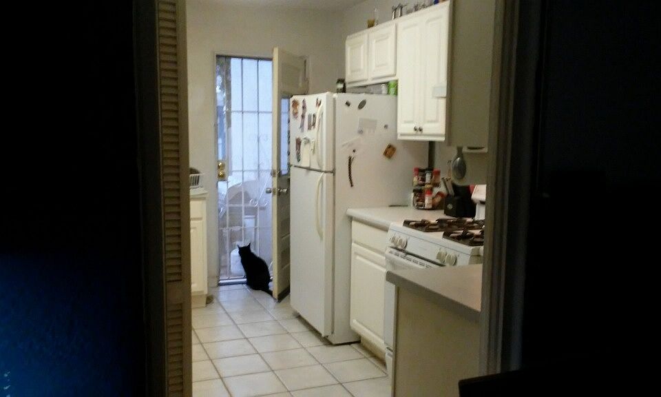 3813 Thaxton Ave SE Albuquerque, NM, 87108 Apartments for Rent Zillow