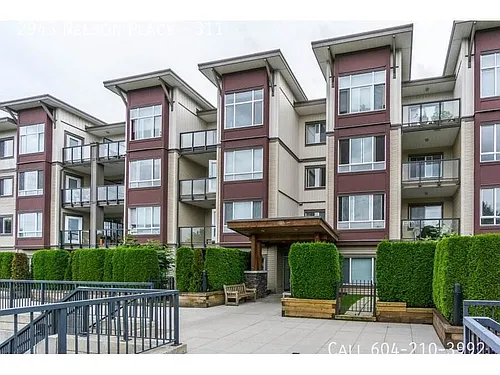 2943 Nelson Pl #311 Photo 1