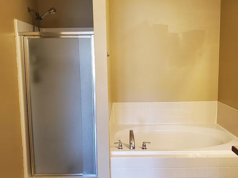 Master bathroom