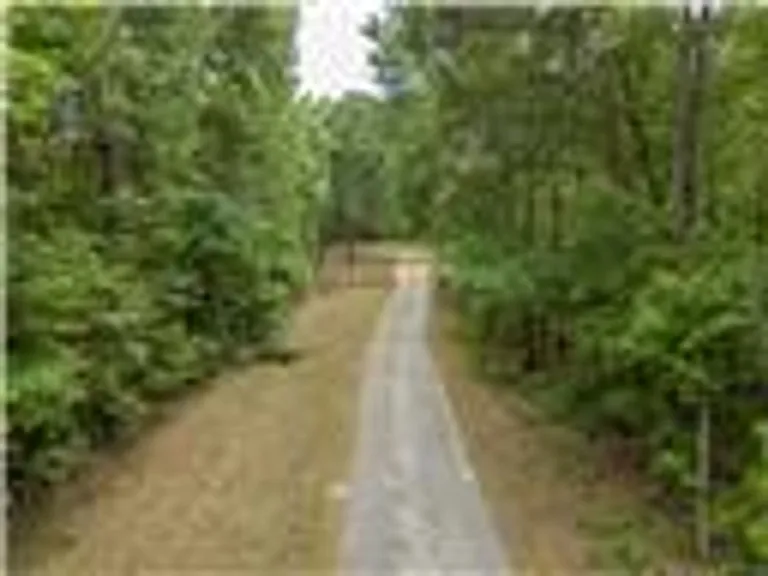 14701 Cedar Lane Loop — Photo 48