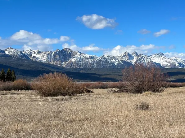 Fisher Creek Loop, Stanley, ID 83278