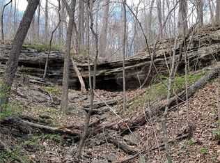 13247 Route E Hwy, Pineville, MO 64856