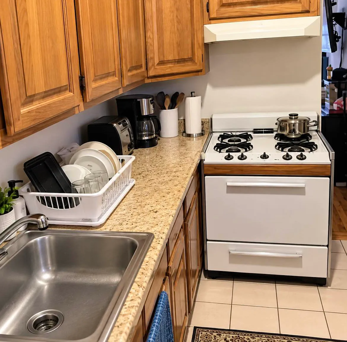 425 East 81st Street — Photo 3