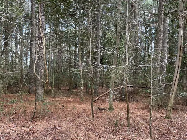 1079 Amidship Dr, Greenbackville, VA 23356