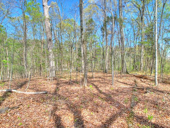 3rd image of LOT 56&57 E Shore Dr Lot 56 & 57