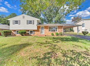 1117 Conifer Ln, Salem, VA 24153