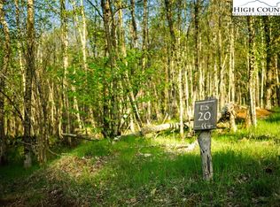 Es20 Eagle Springs Trl, Banner Elk, NC 28604