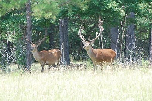 1st image of 10851 County Road 233