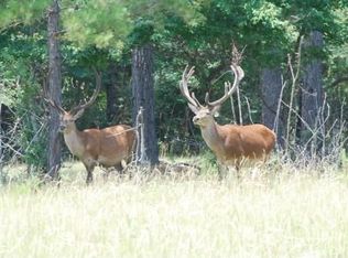 10851 County Road 233, Tyler, TX 75750