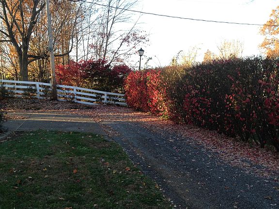 Private road and driveway in autumn