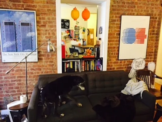 Rented by The Search D&M | media 20