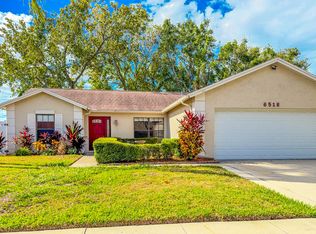 6518 Seafairer Dr, Tampa, FL 33615