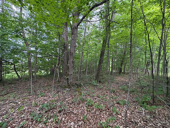 5th image of LOT 3 Jamieson Rd