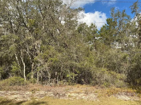 8 Fisher Trce Lot 8, Ocklawaha, FL 32179